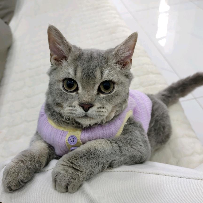 生活需要诗和远方