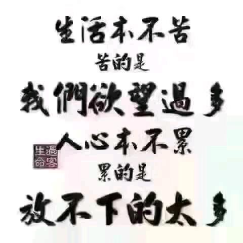 初秋的鱼