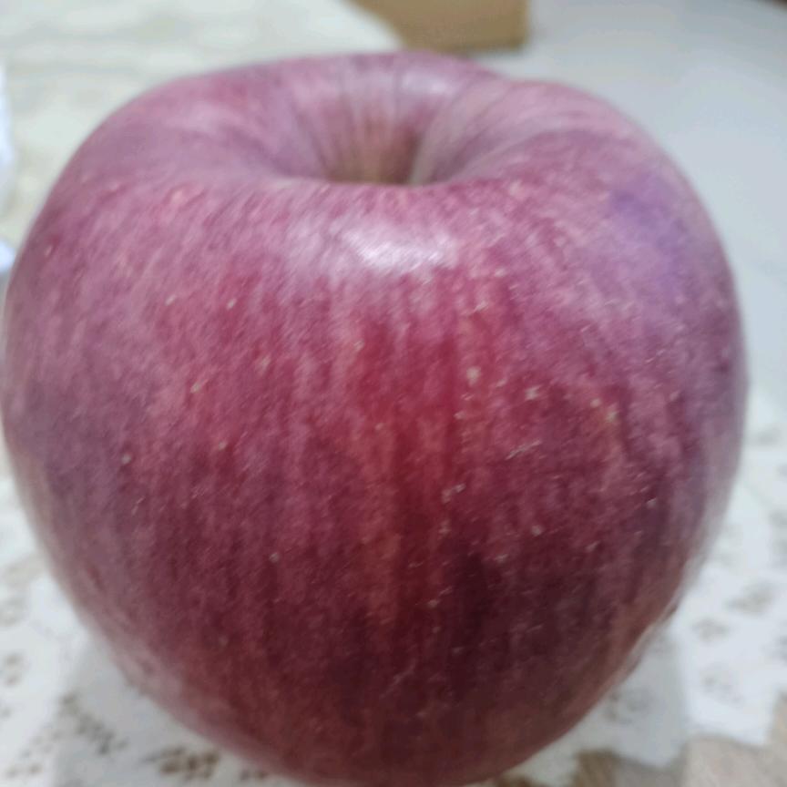 阳光汽车用品