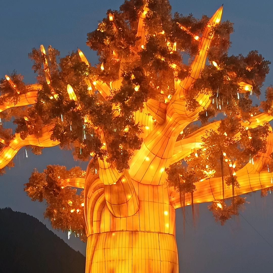 爬电杆的马师傅