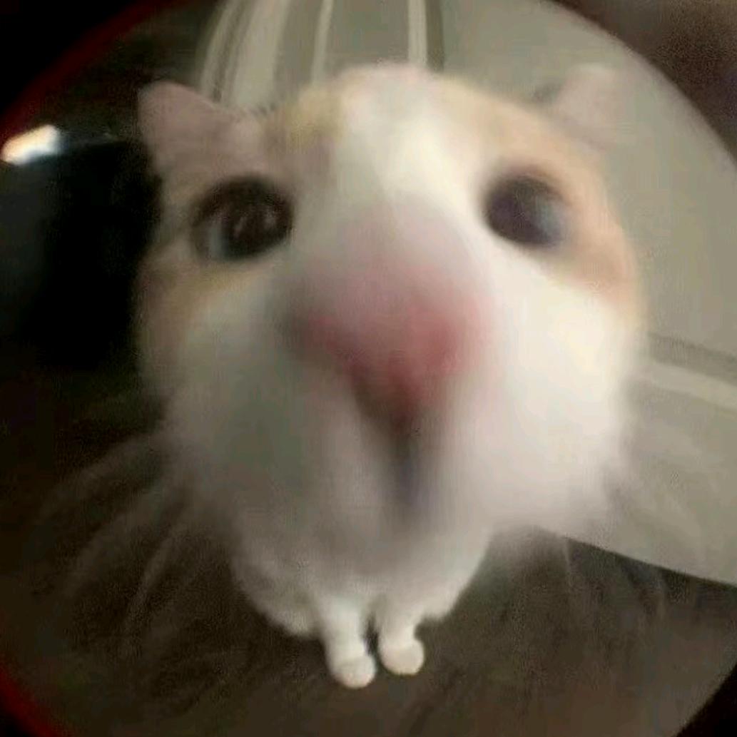 小慧^ω^