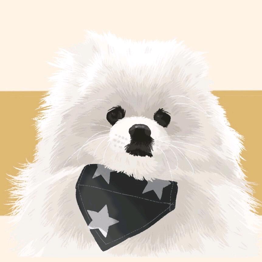 多米宠物零食铺