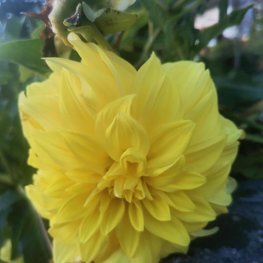 小敏