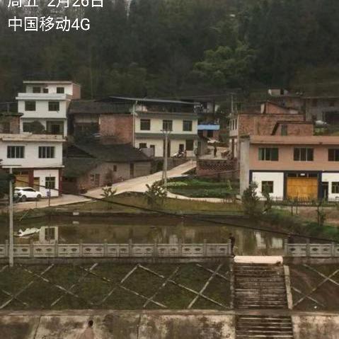缘分