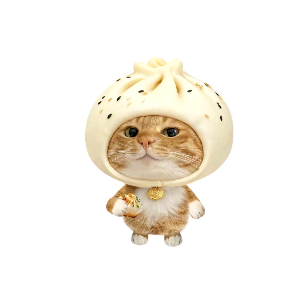 榆木脑袋꒦ິ ^꒦ີ