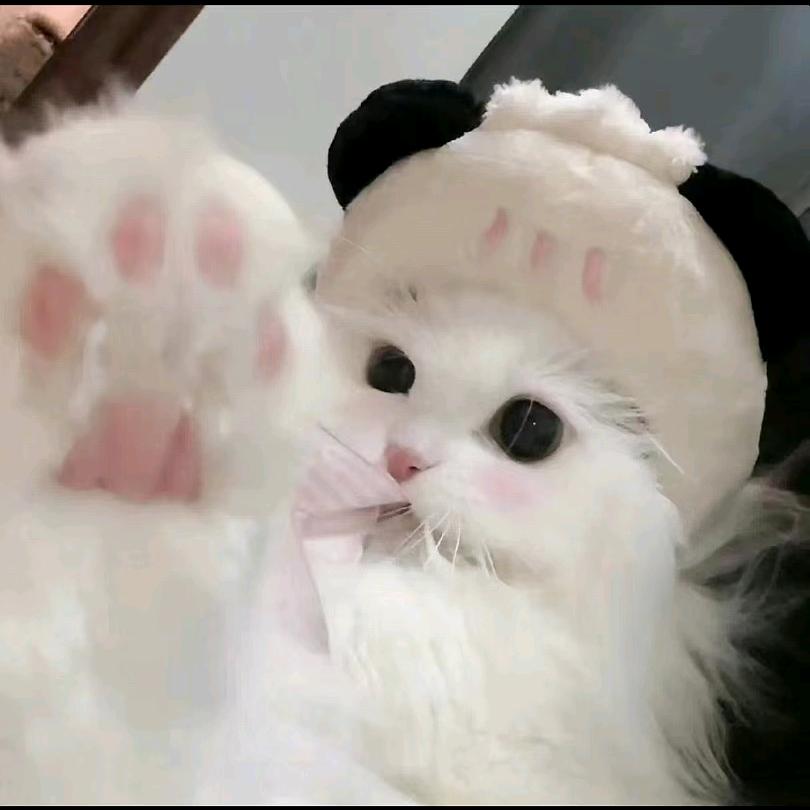 光弥痕