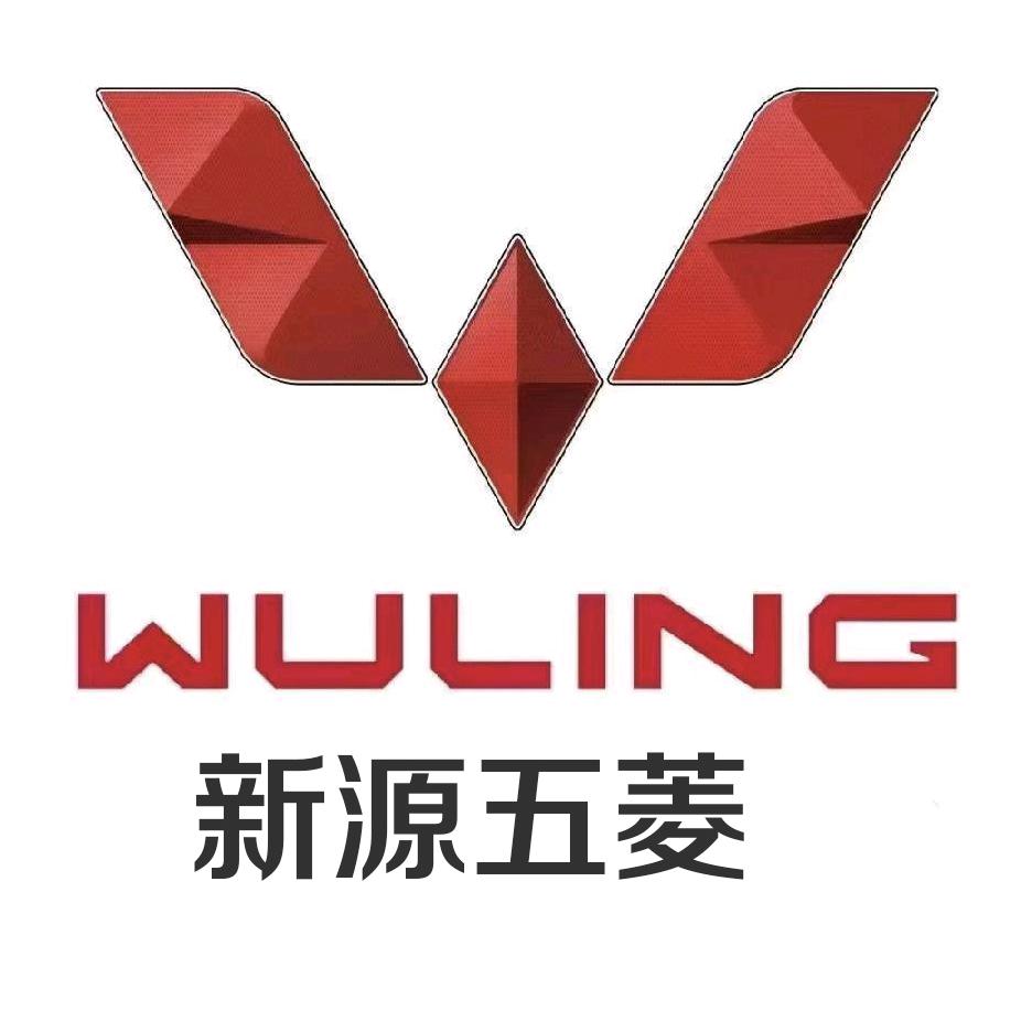 新源县同盛跃行汽车销售有限公司