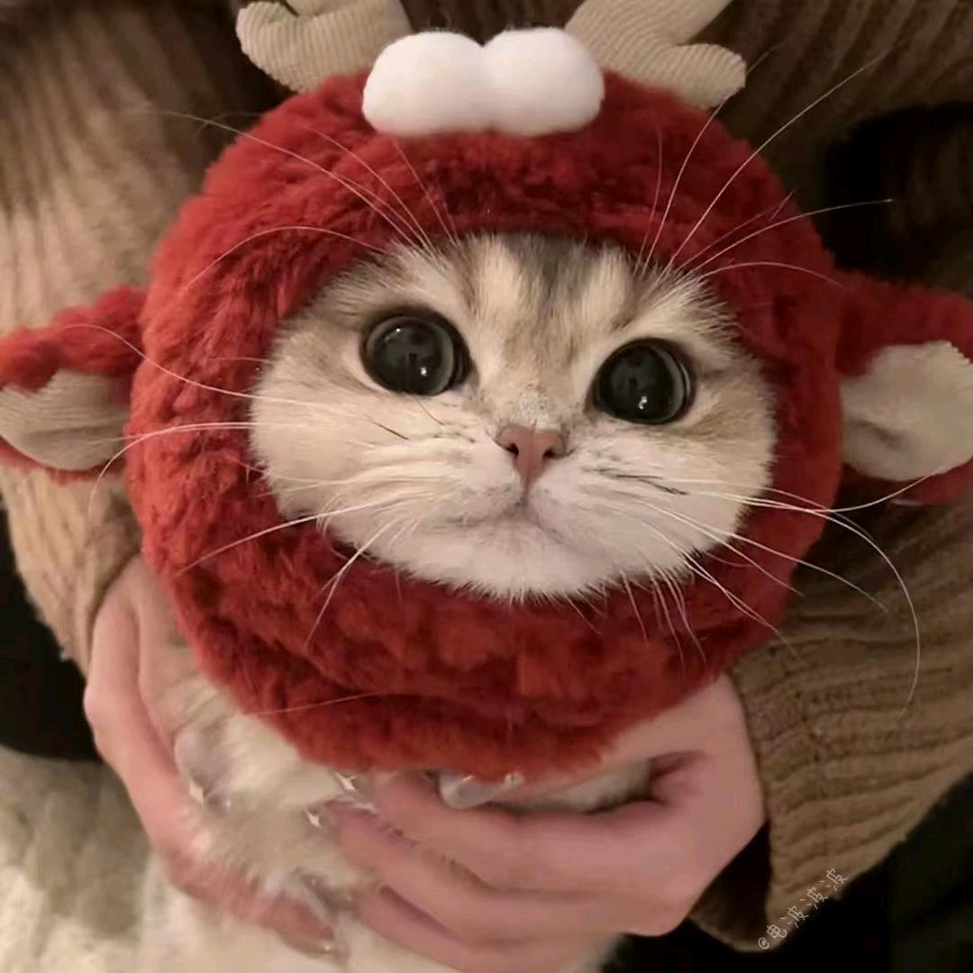 止水