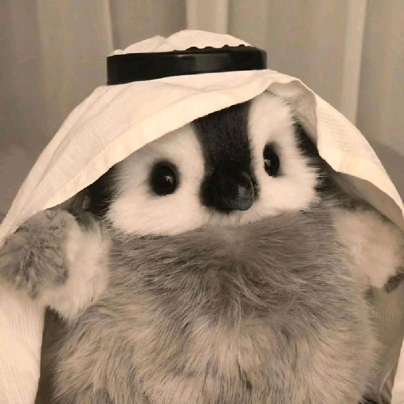 小二讲科普