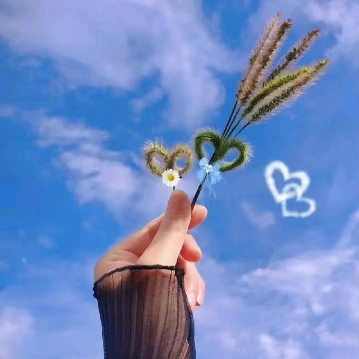 小橙子🧚‍♀️