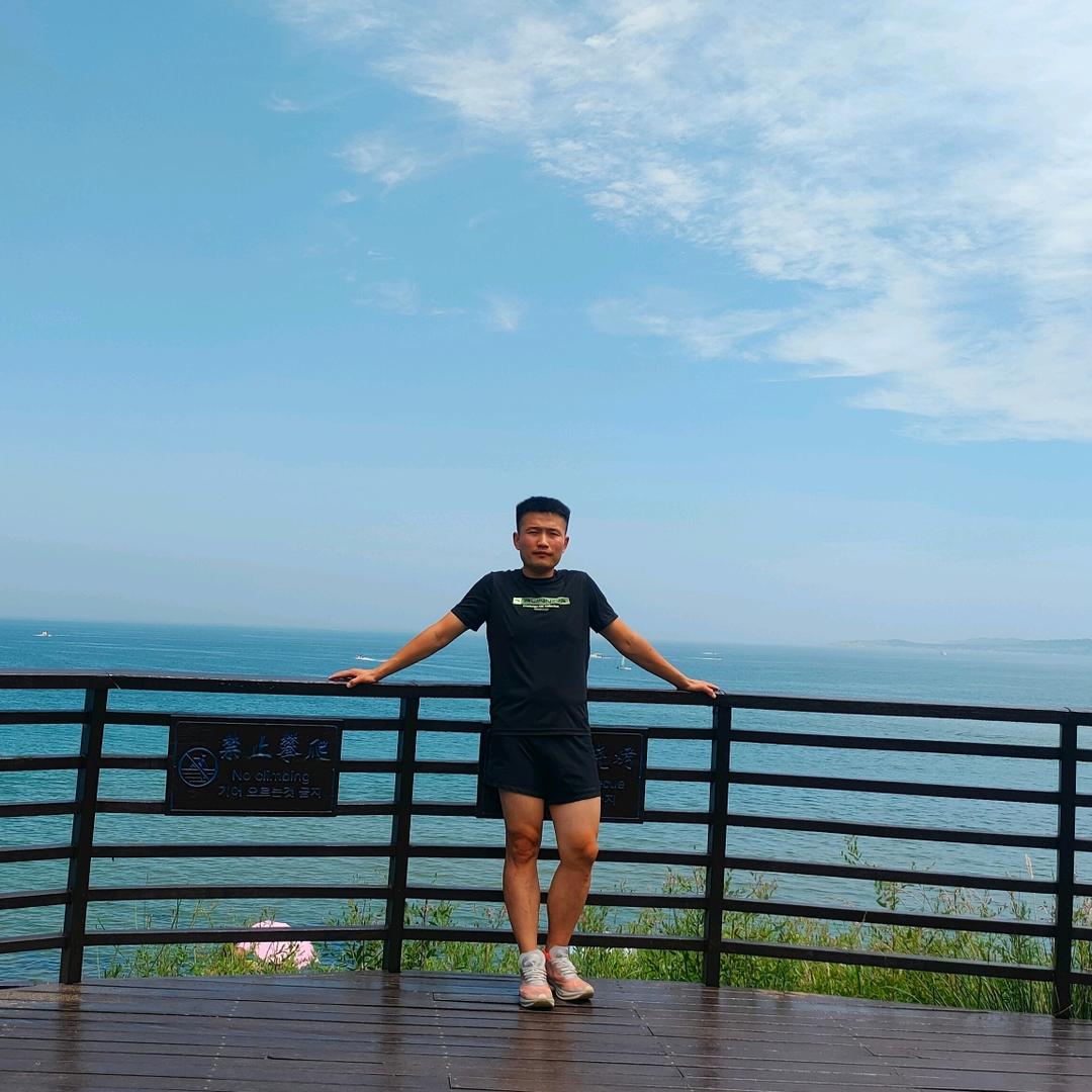鲨鱼不吃鱼、