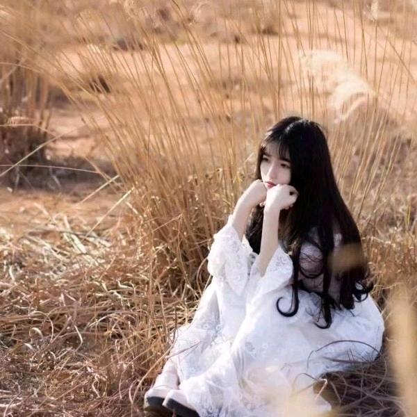 洛十九