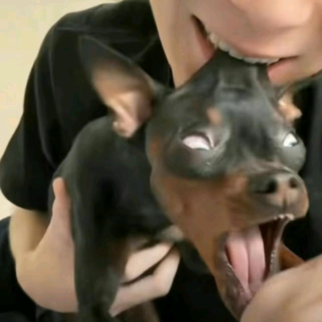 阿万（三角洲）