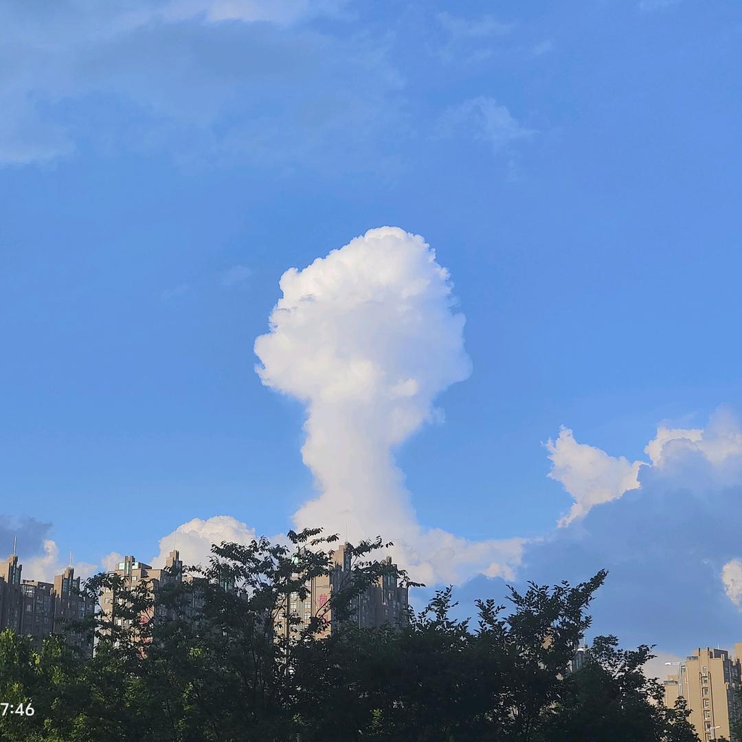 我的男神