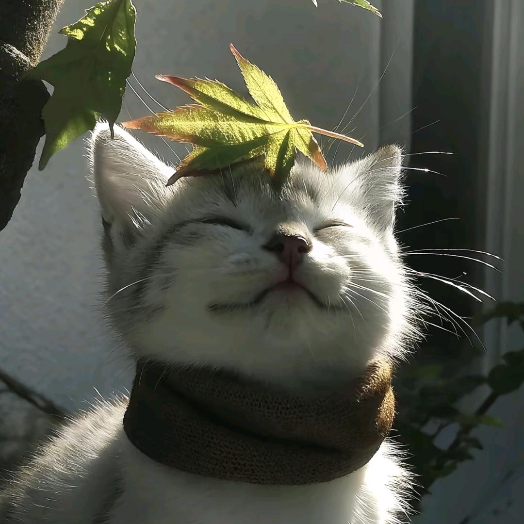 煮碗面