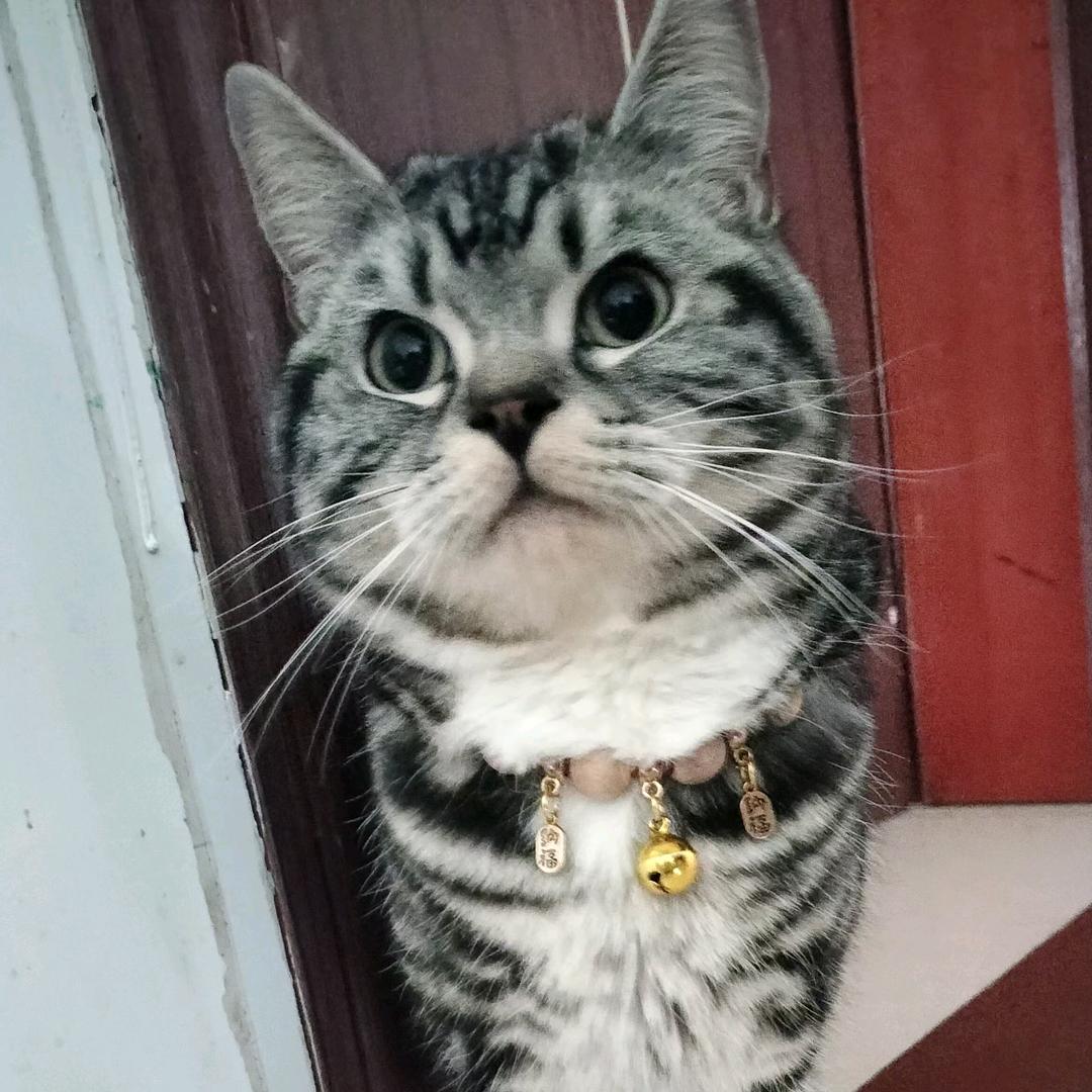 汤圆