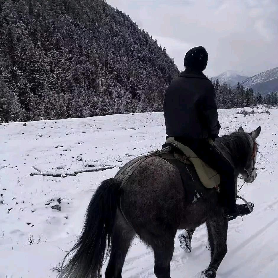 赴星河