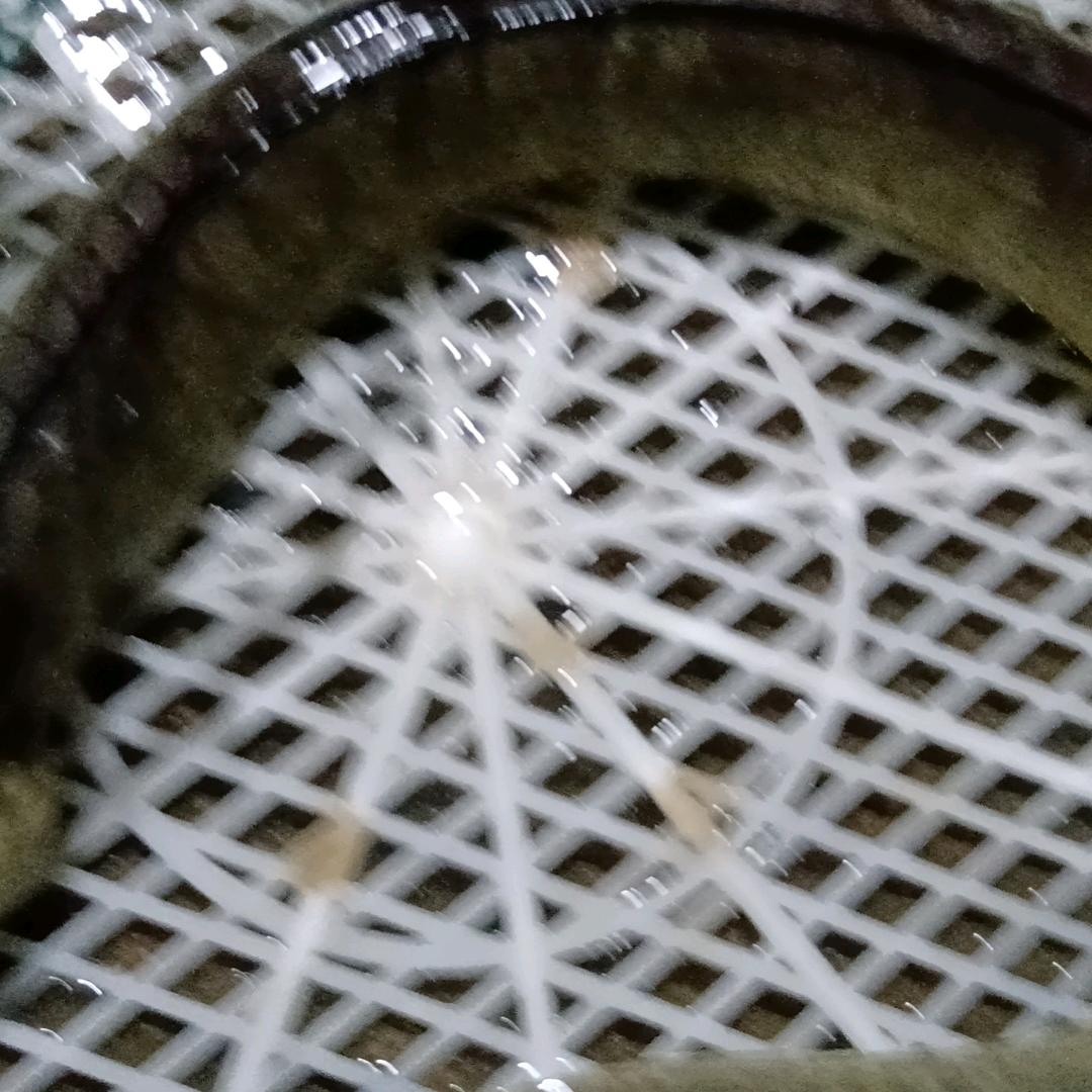 心一林