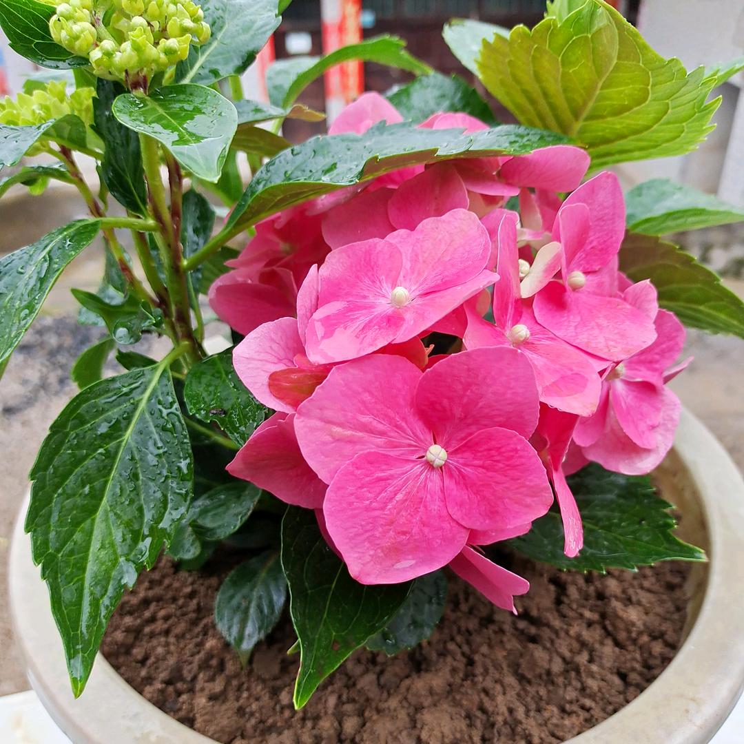 迷茫茫