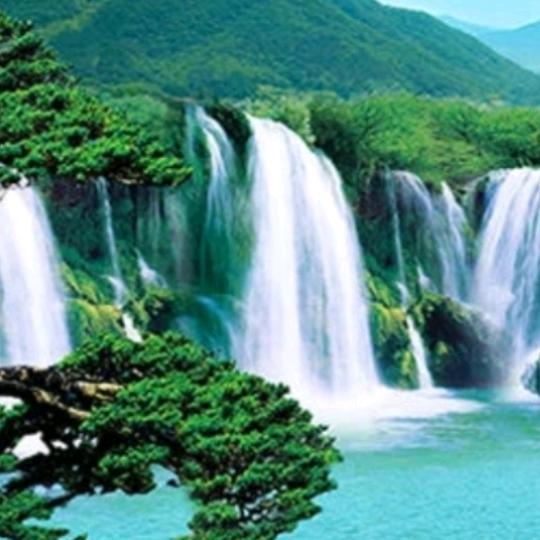 启伟哥专业搭棚