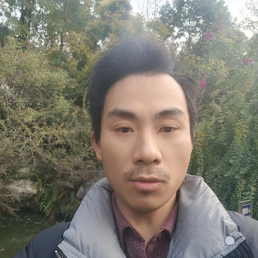 自由飞翔