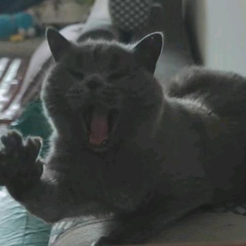 河蟹煲