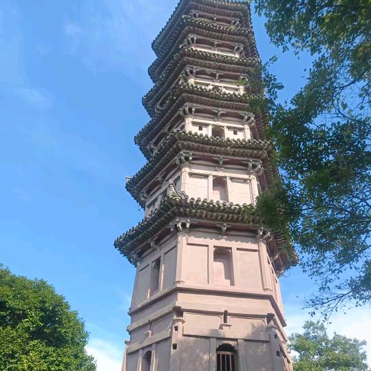 落✨叶✨知   (   ❤️    )