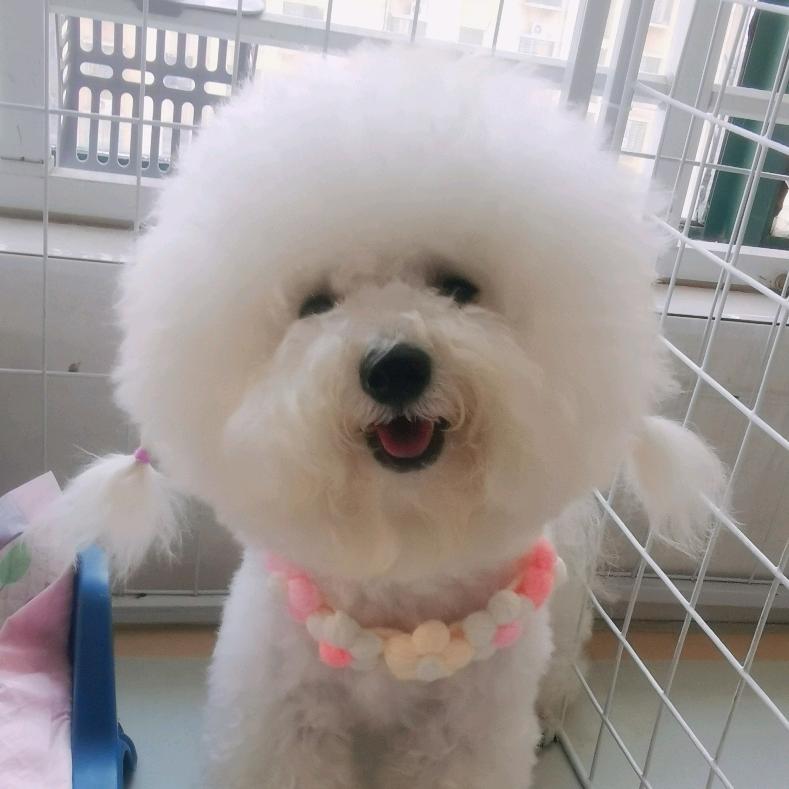 小花 ້໌ᮨ