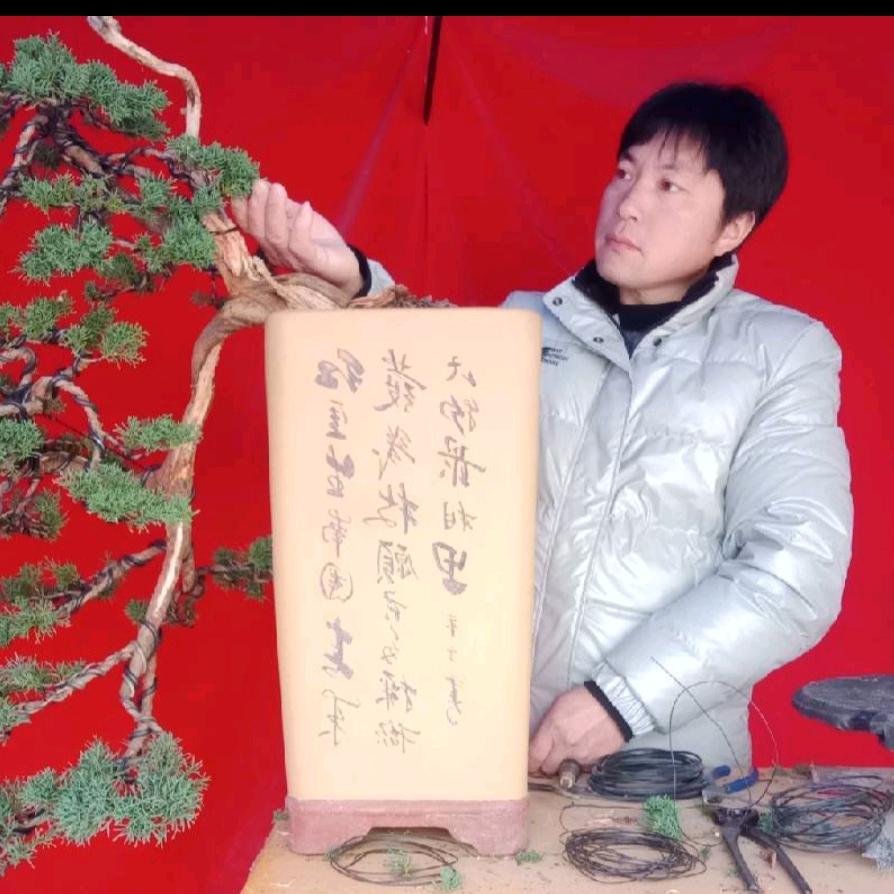 大杨
