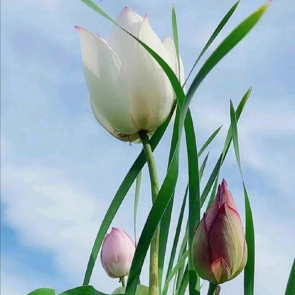 香水有毒