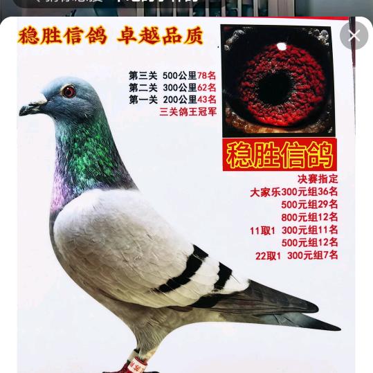 走自己的路
