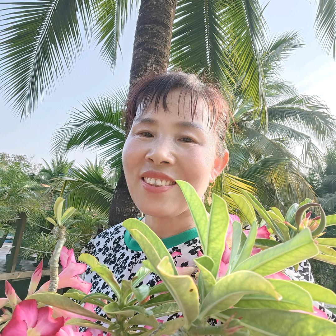 炫彩人生ZRZ