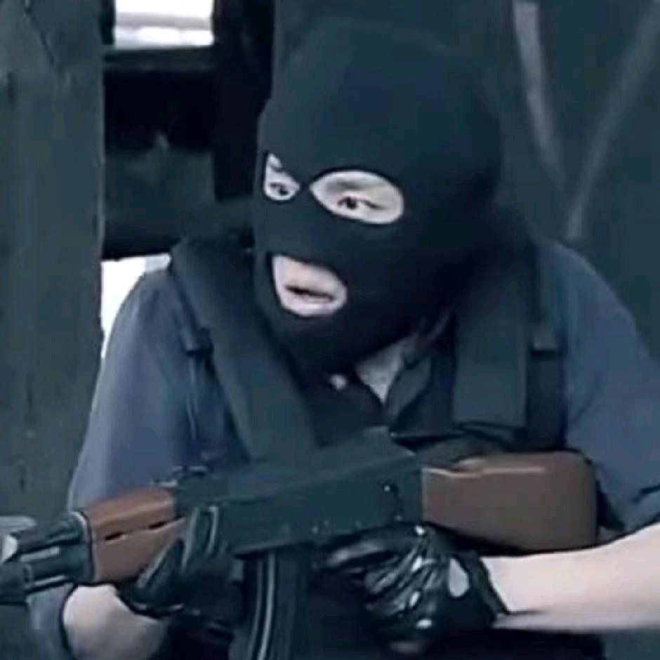 一只野生舟舟人