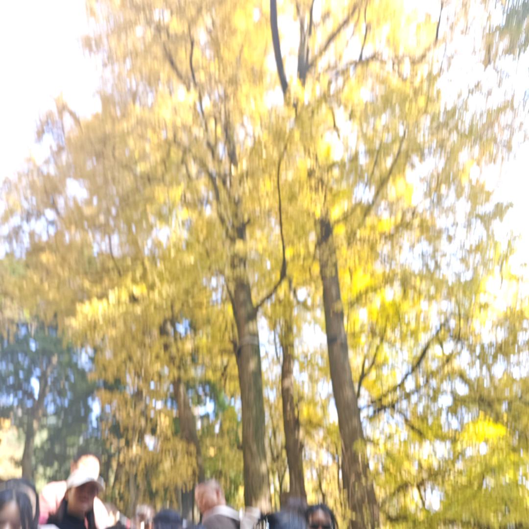 巡洋鼠（三角洲）