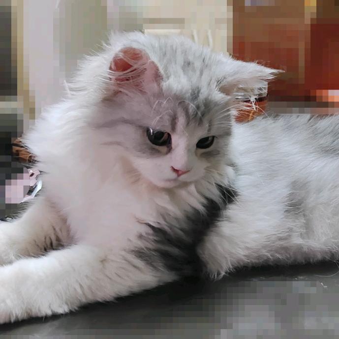 晚风揉碎了温柔.