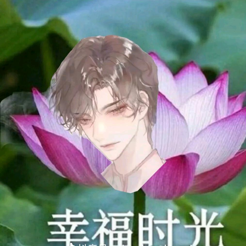 花开富贵   （独宠解雨臣）
