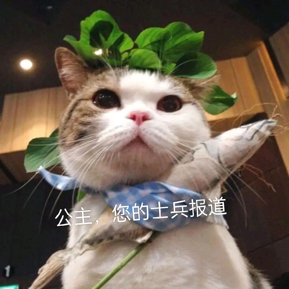 好梦~