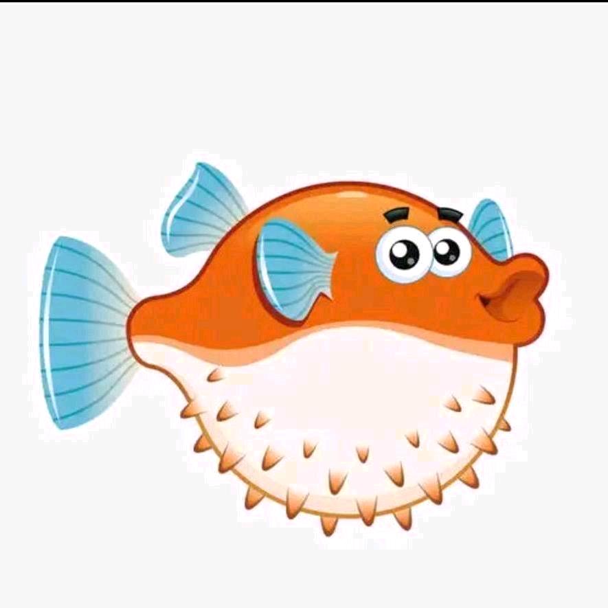 舔胖头鱼163号🐡