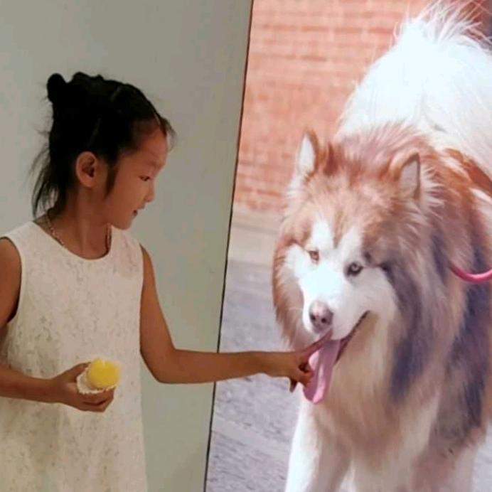 叶子阳向阳而生