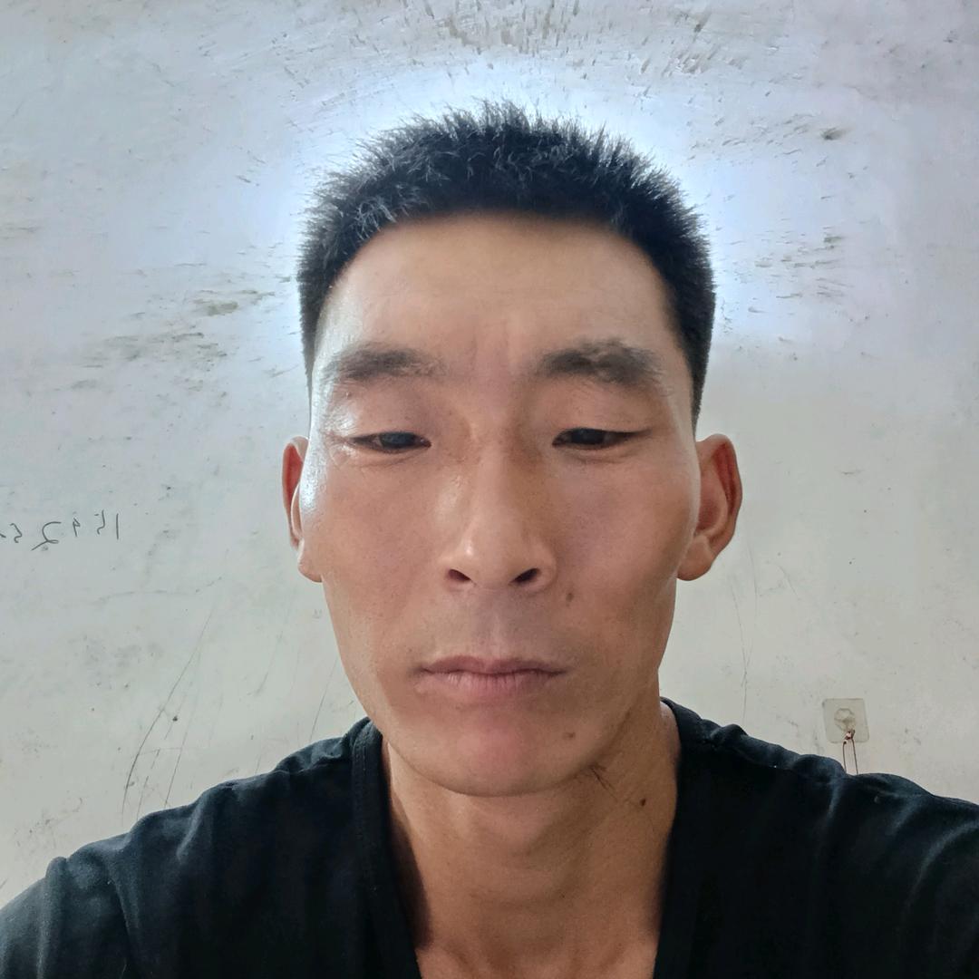 杨哥的大号☀🐝🐲🌲