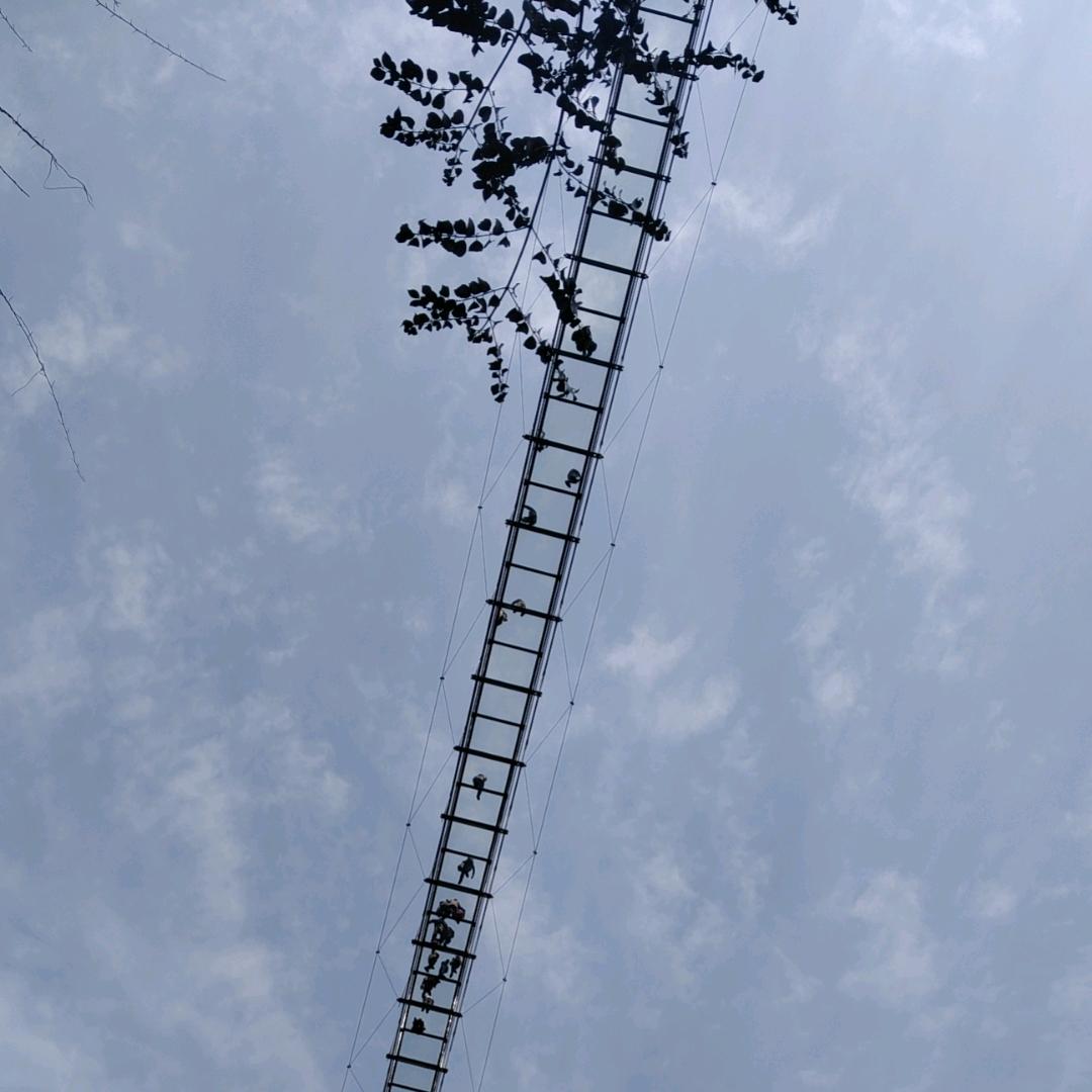 简简单单❤⊙∀⊙！