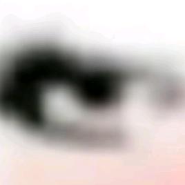 李禀异头像