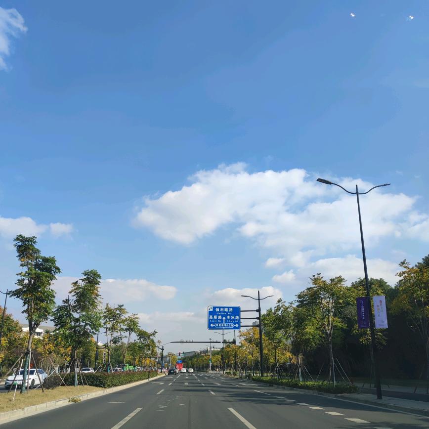 菠萝吹风