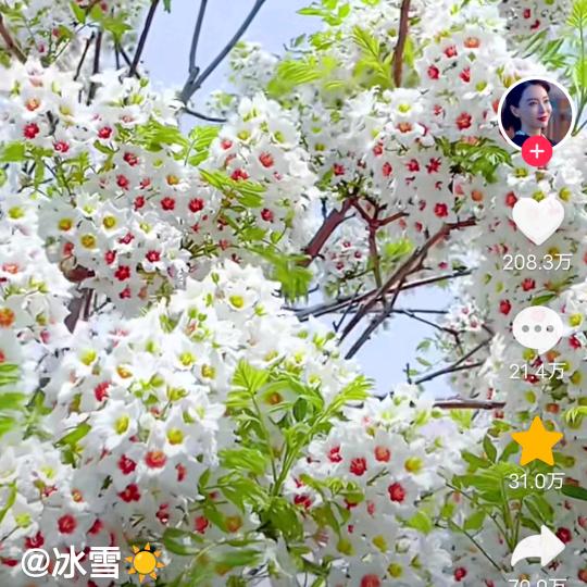 缘哥