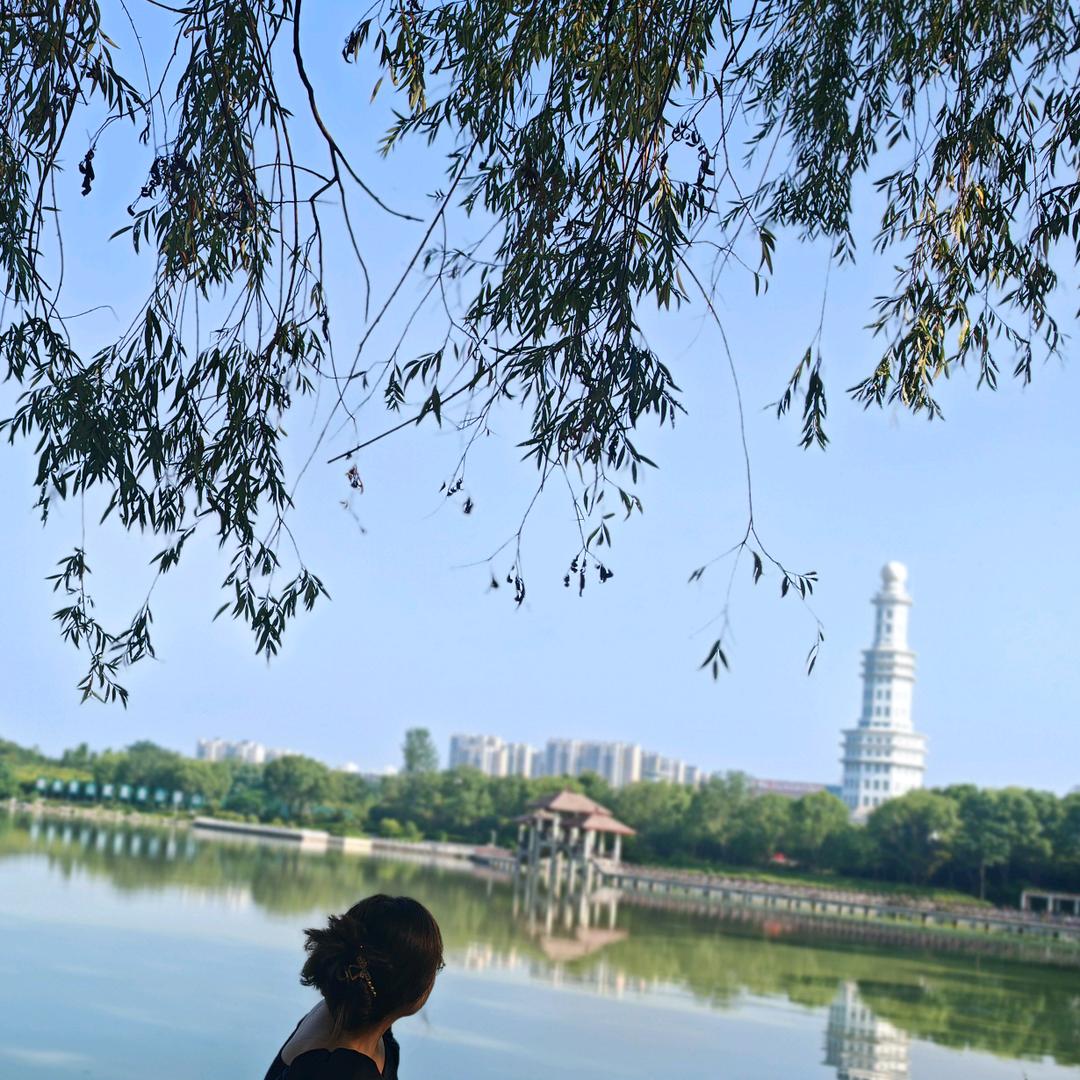 草水平居