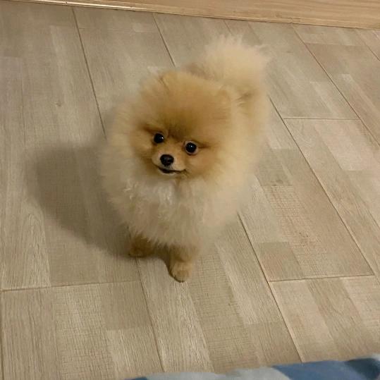 经营土方