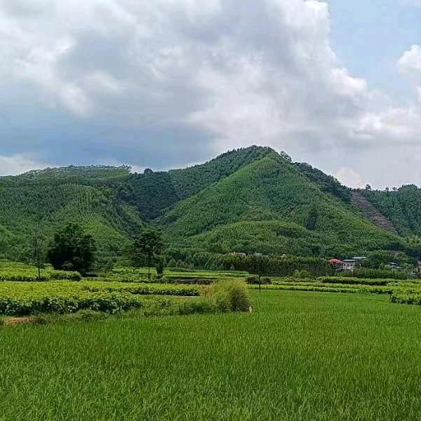 杜美祺413（杜家四小姐）