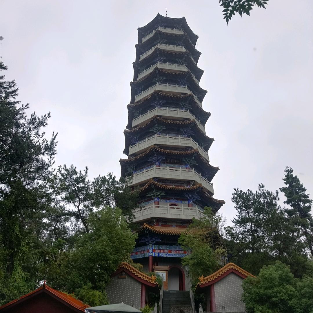 心声的呼唤@