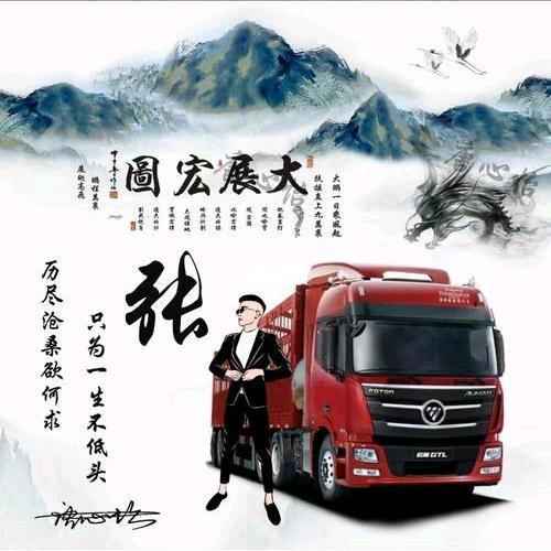 淄博金运货物运输