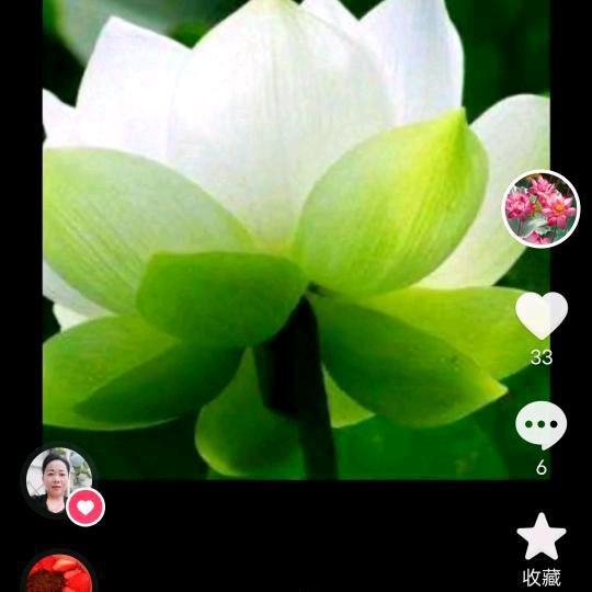 ♥马到成功♥